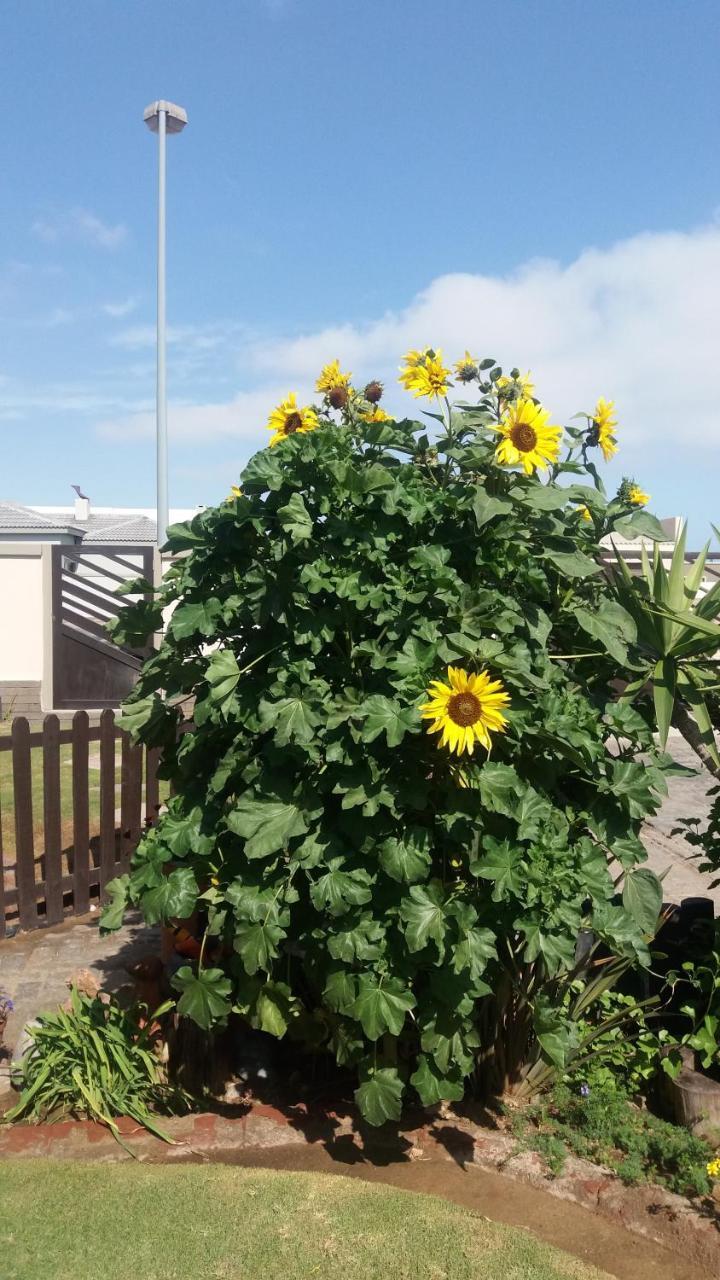 Sunflower Self-Catering Walvisbaai Buitenkant foto