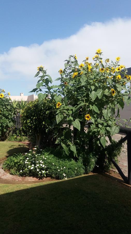 Sunflower Self-Catering Walvisbaai Buitenkant foto